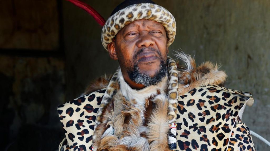 Ntabazinduna royal house appoints acting chief, insists Chief Ndiweni remains in office