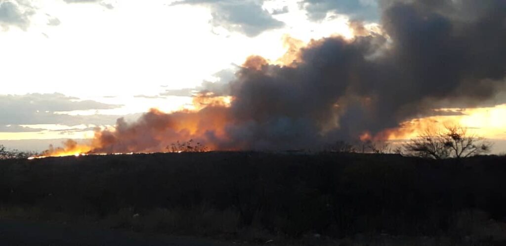 EMA raises alarm over urban smog and emissions