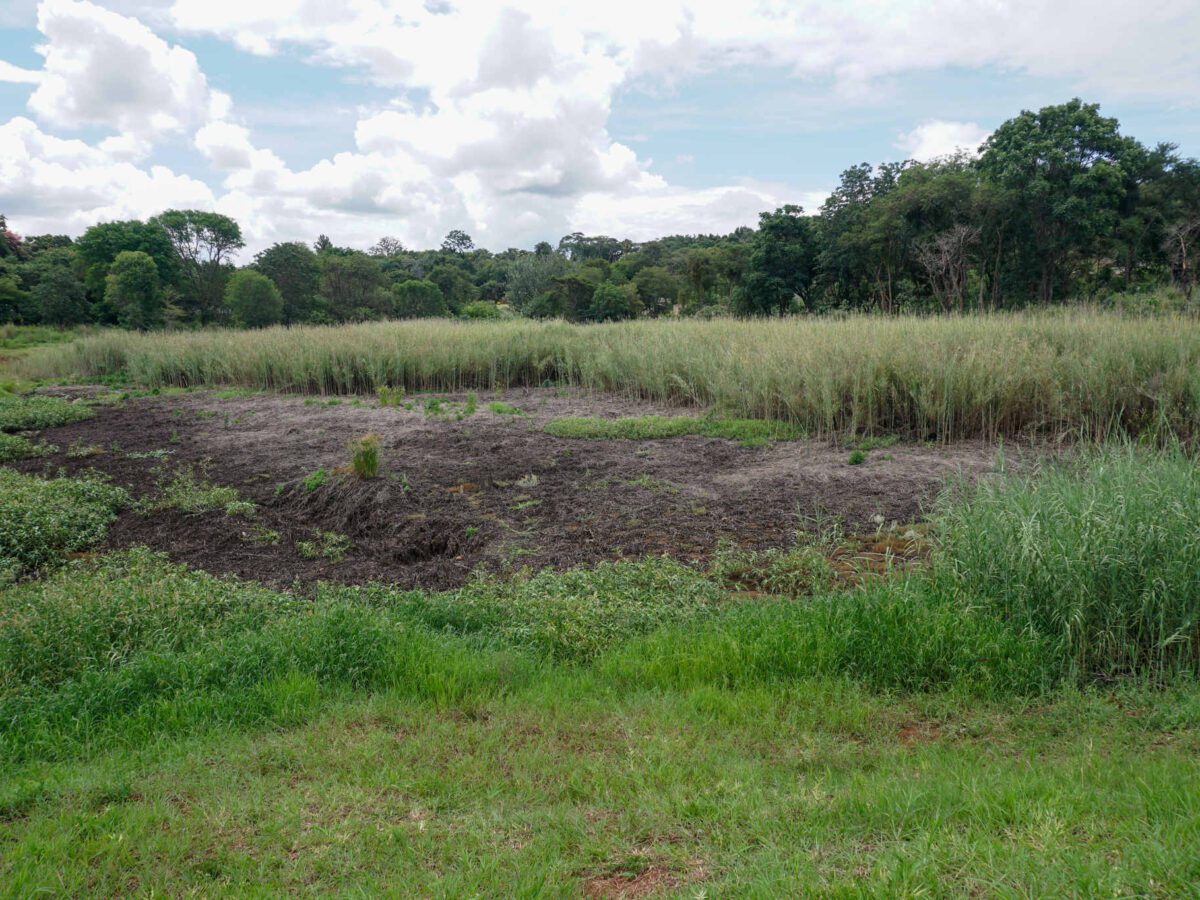 EMA rallies youths to drive wetlands conservation