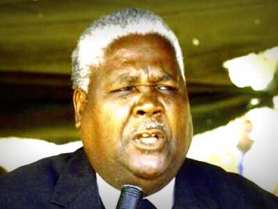 Youth reflect on Nkomo’s legacy amid mixed feelings on Independence Day