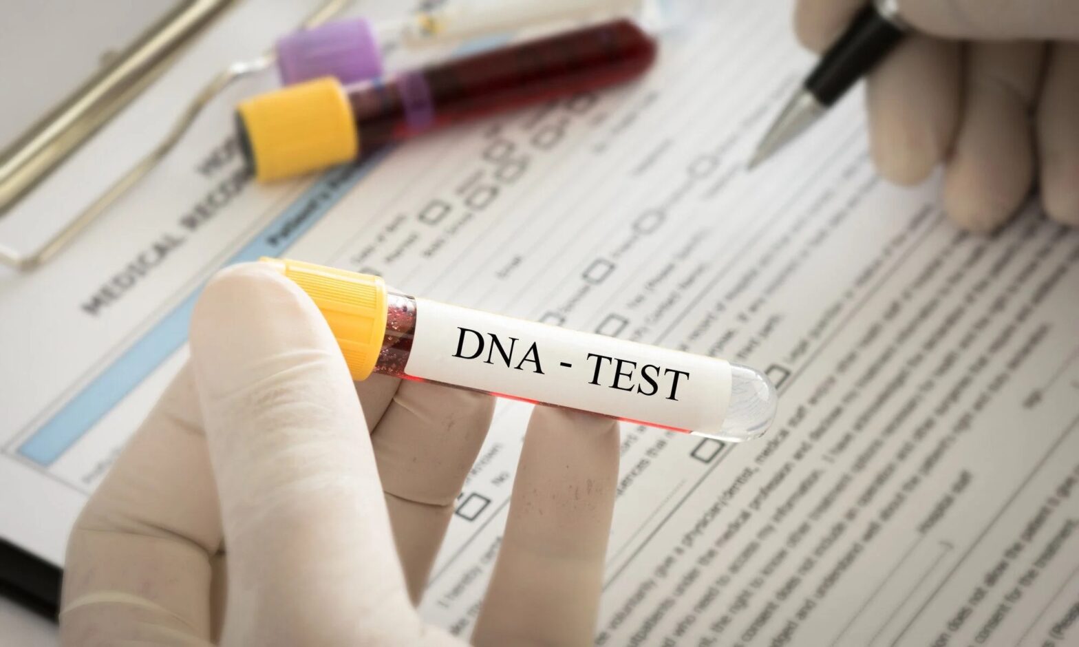 DNA challenge heads to Constitutional Court