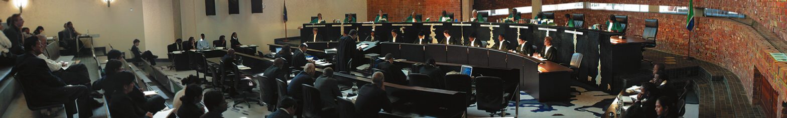 SA High Court bans Operation Dudula from harassing foreign nationals