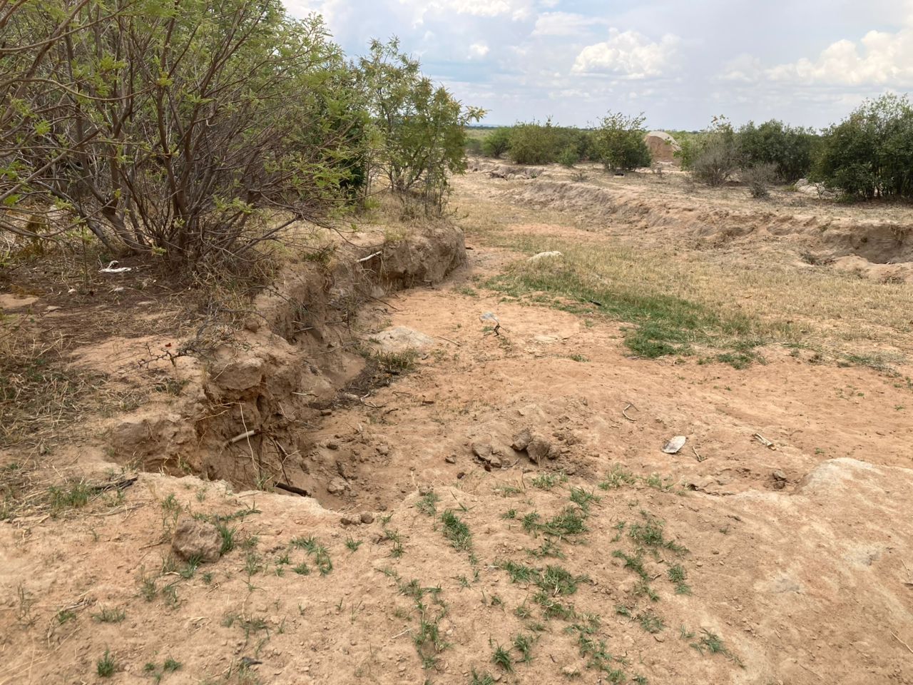 Ward 17 residents fear for safety as illegal sand poaching leaves dangerous pits