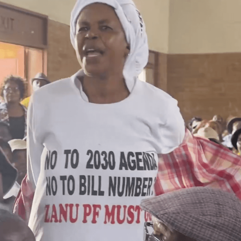 Woman ejected for anti-2030 regalia at public hearing