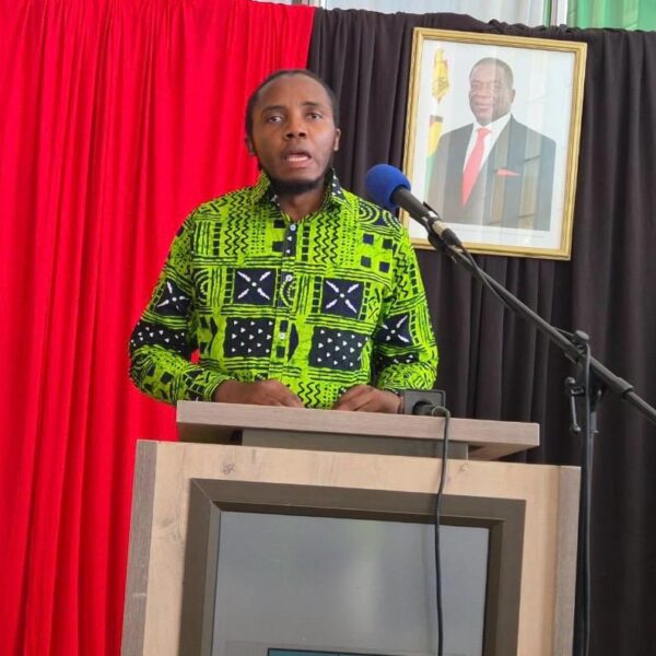 Amendment Bill No. 3 about Zanu PF’s institutional survival, not Mnangagwa, claims scholar