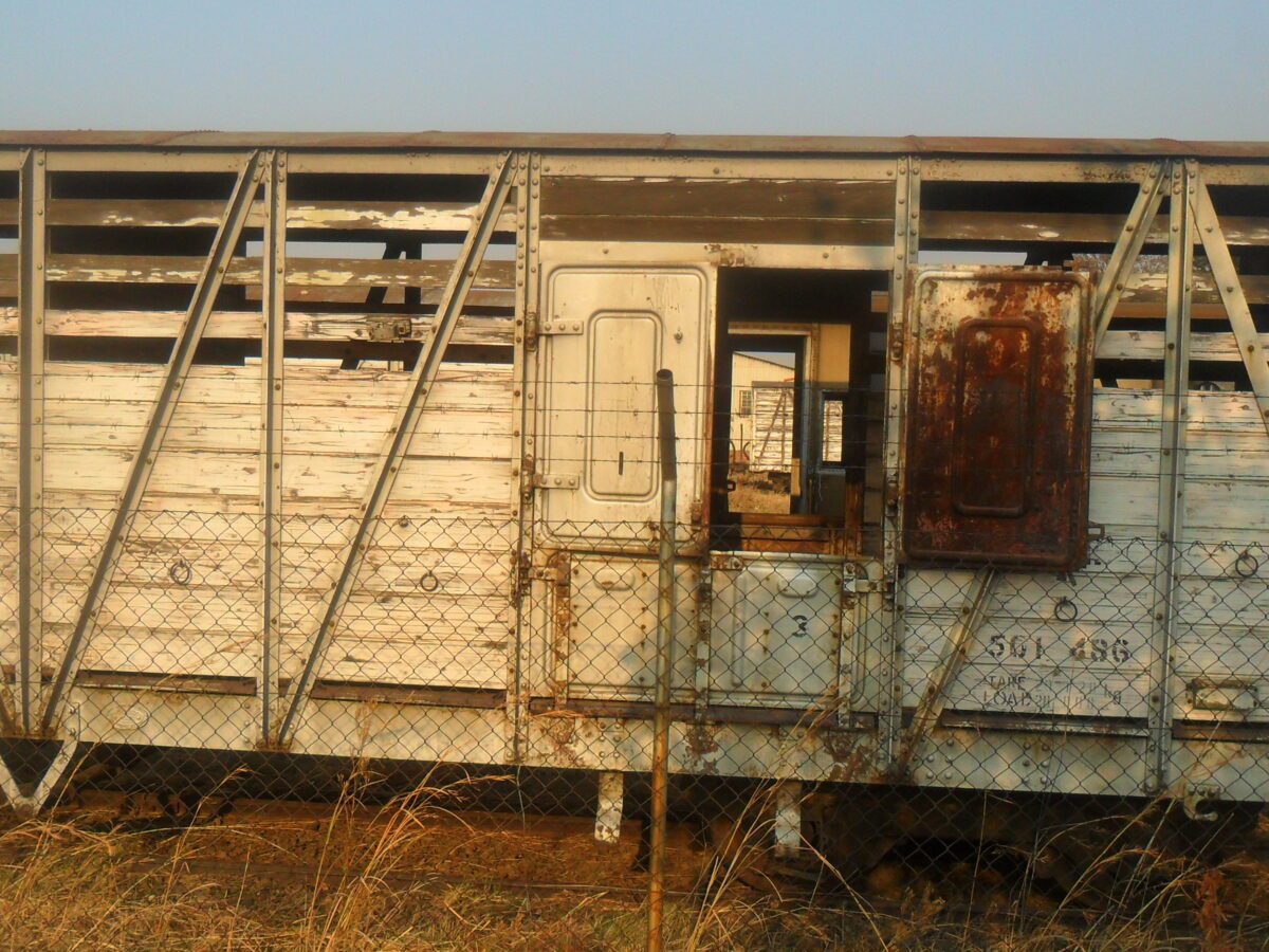 Crime fears grow as vagrants take over NRZ wagons
