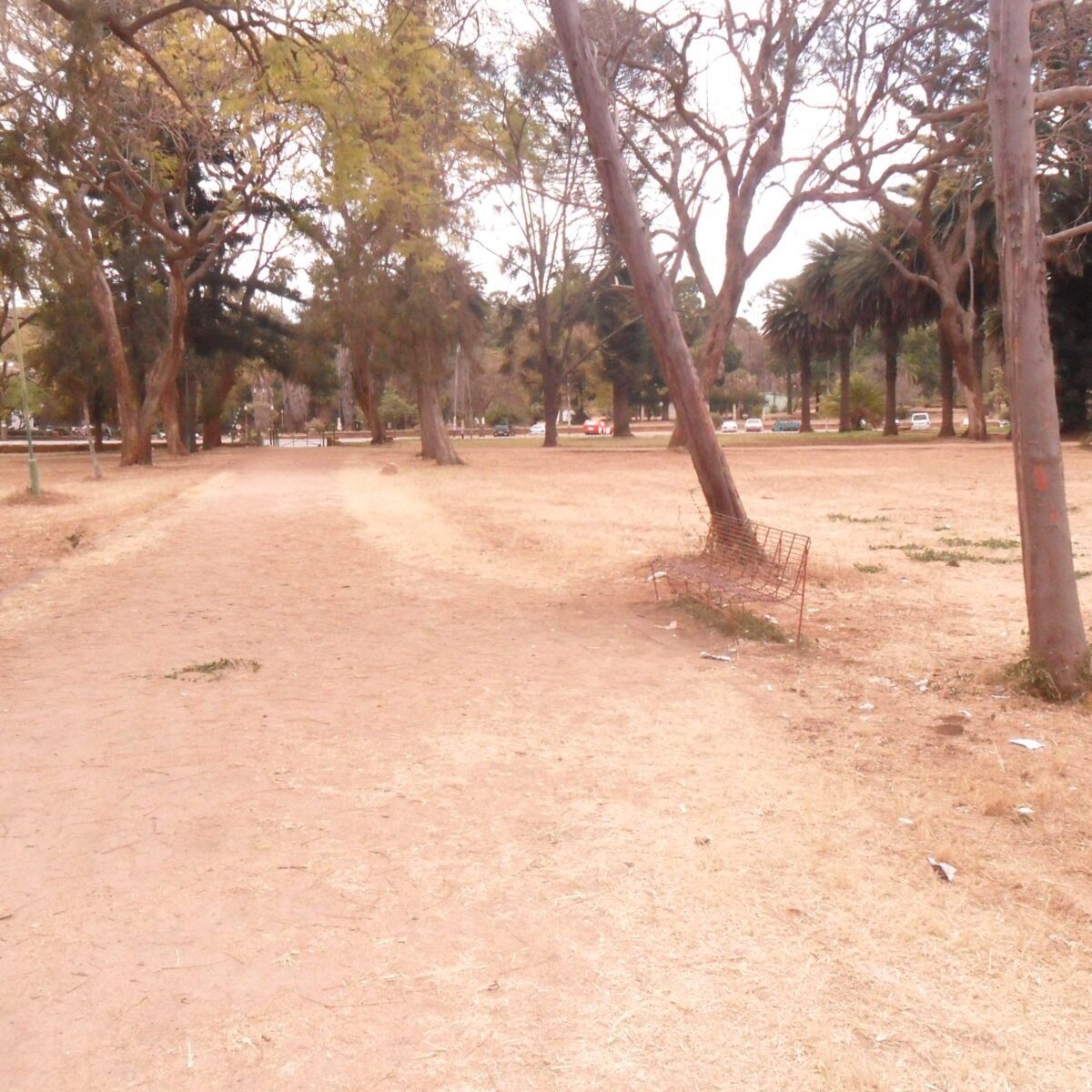 Bulawayo parks fall into disrepair
