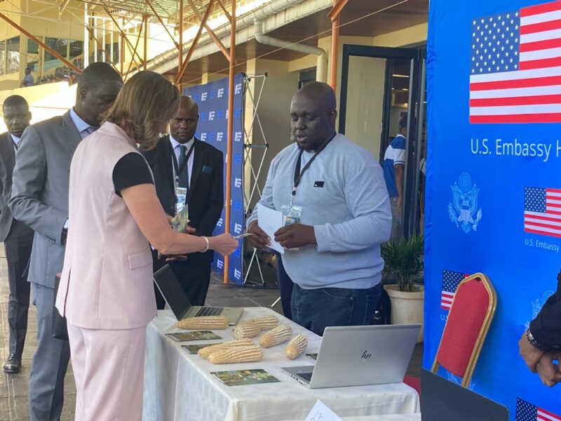 Tech innovation helps farmers tackle climate change