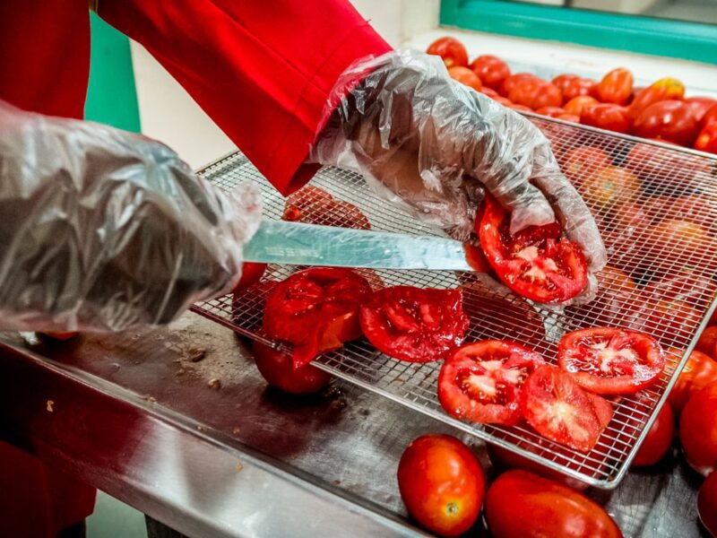 Youth entrepreneurs turn surplus tomatoes into climate-smart product