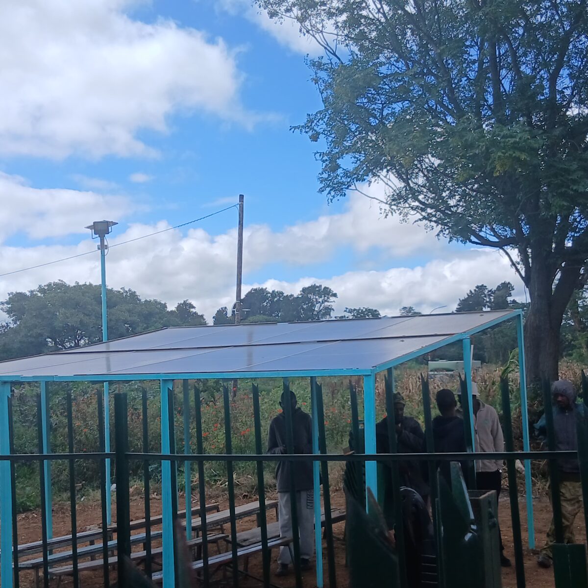 Mzilikazi residents turn $1 each into solarised borehole, celebrate water milestone