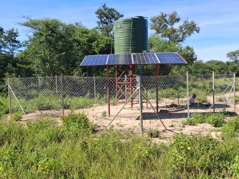 Solar boreholes bring relief to Tsholotsho North communities