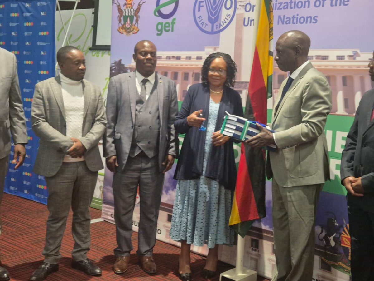 Zimbabwe launches sustainable cities programme for Harare and Bulawayo