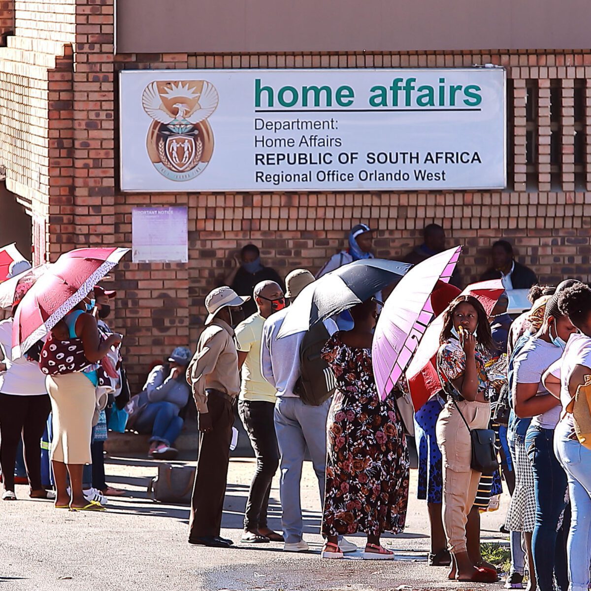 SA Home Affairs launches ZEP audit as numbers decline
