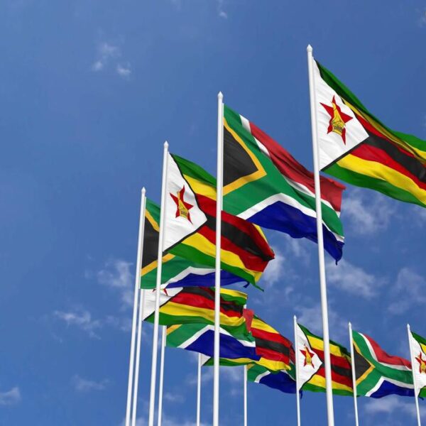 “Africa belongs to all Africans”: War Vets condemn Afrophobia
